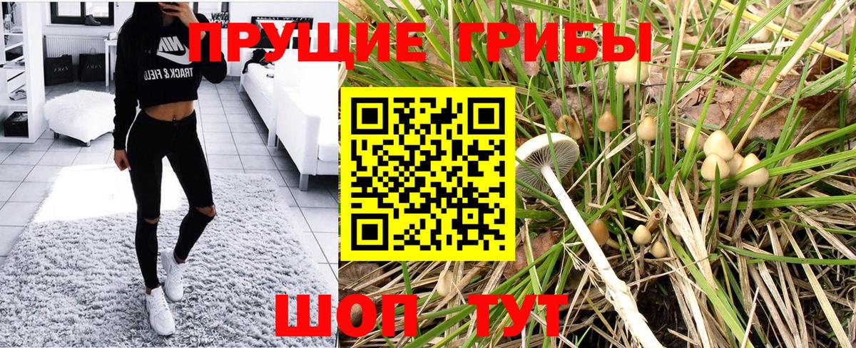 Галлюциногенные грибы GOLDEN TEACHER  Галлюциногенные грибы ЛСД  Вход с VPN  Трёхгорный 