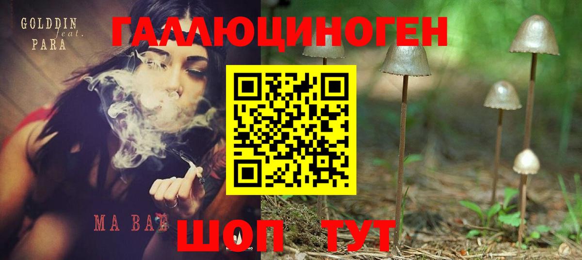 Псилоцибиновые грибы GOLDEN TEACHER Трёхгорный